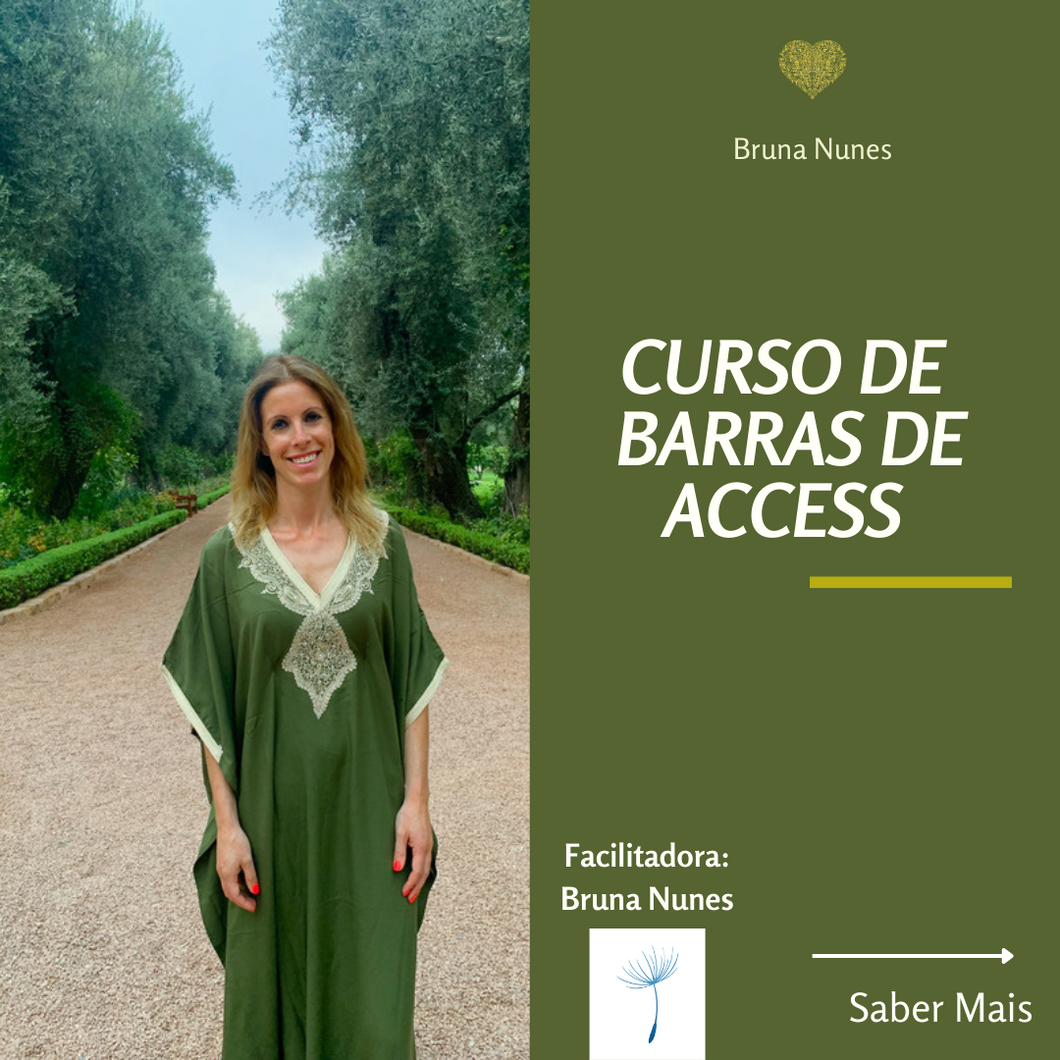 Curso de Barras de Access 27 de Fevereiro