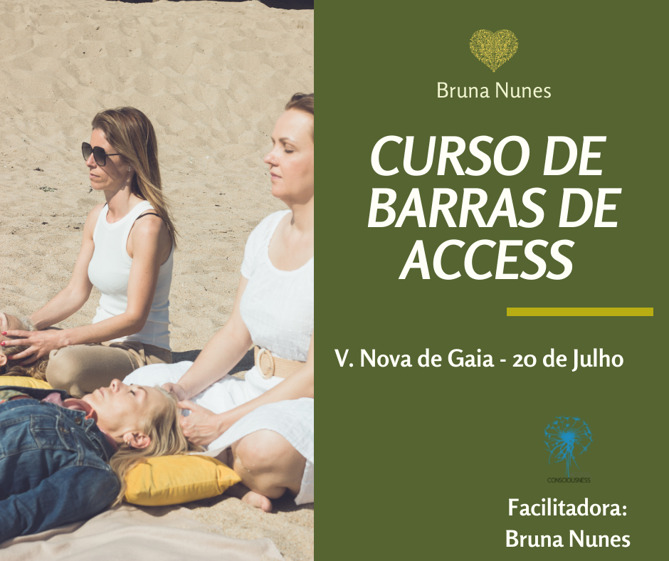 VILA NOVA DE GAIA Curso de Barras de Access 20 de JULHO