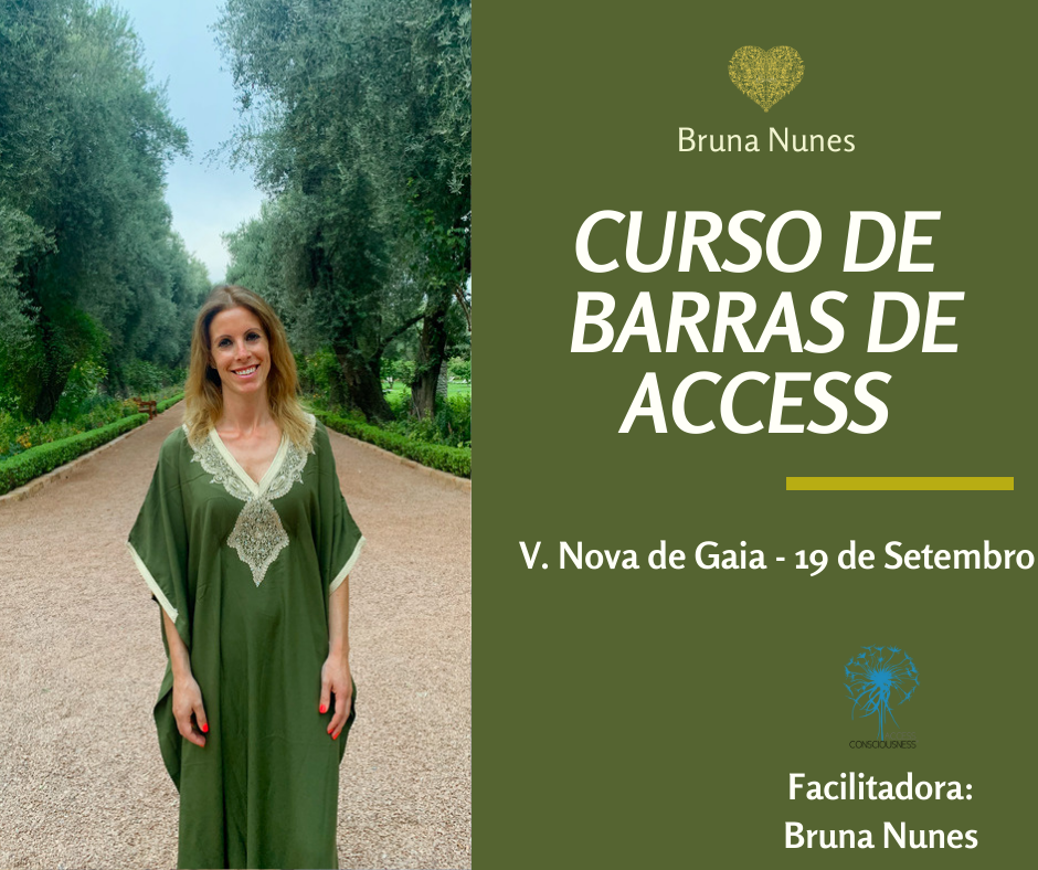 VILA NOVA DE GAIA Curso de Barras de Access 19 de Setembro